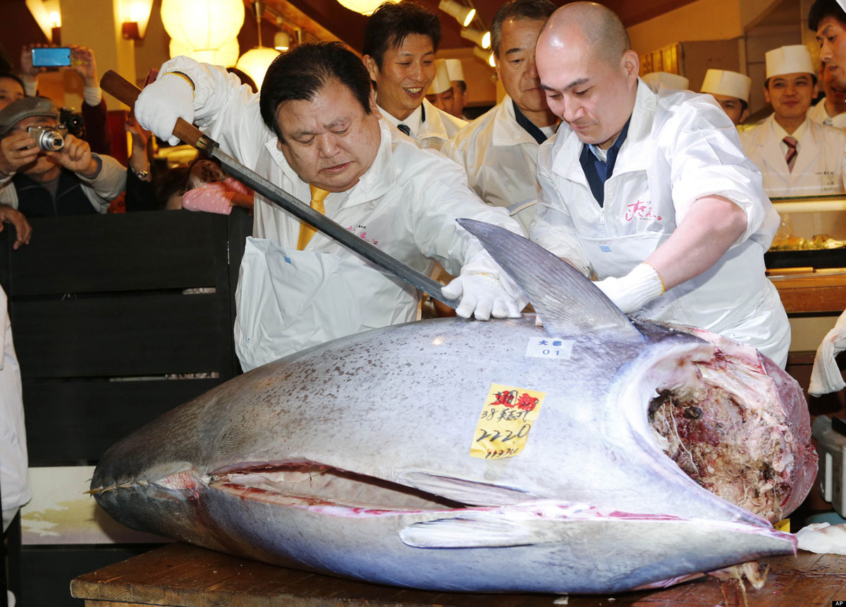 1.8 million dollar tuna