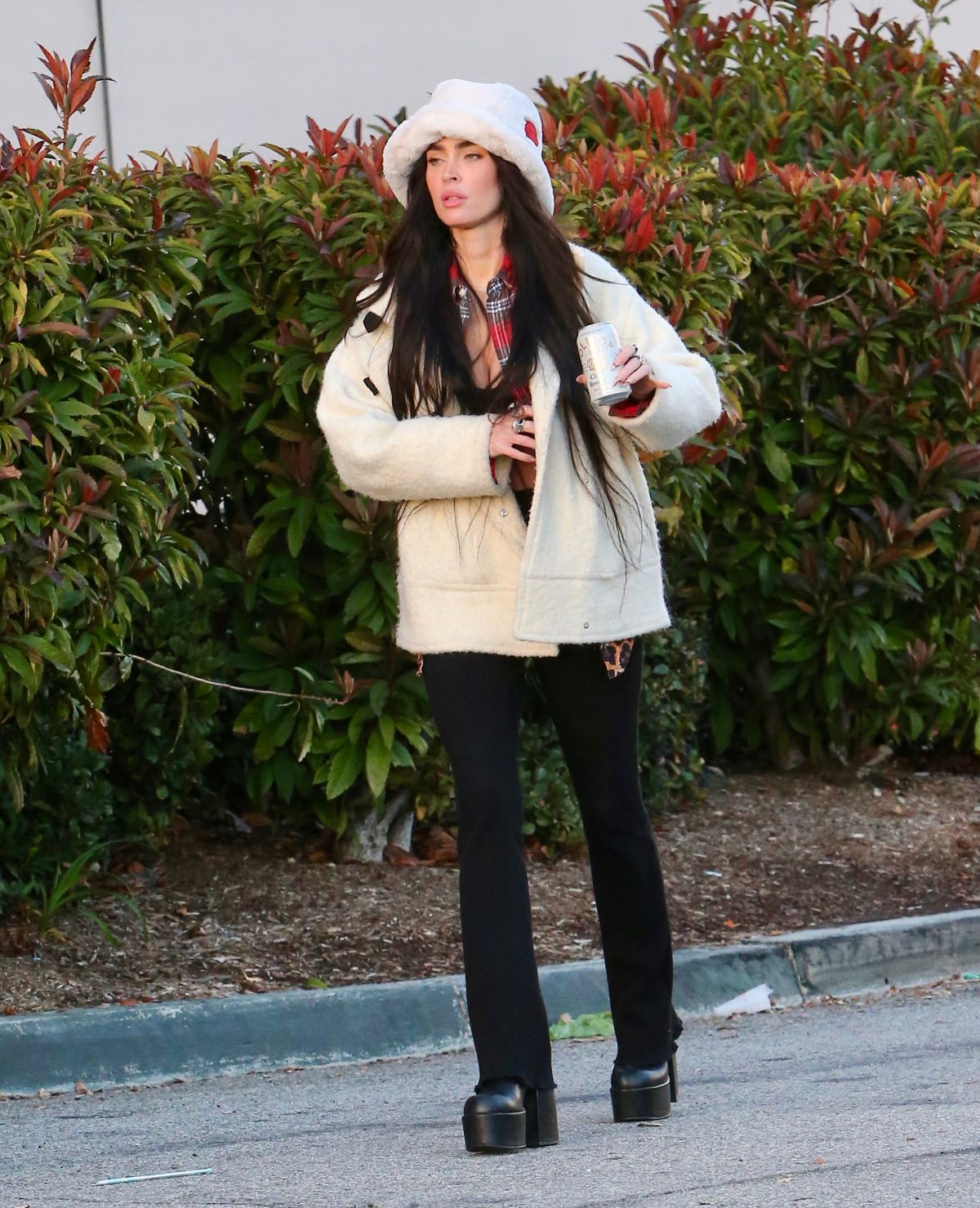 Megan Fox shopping for groceries on New Years Day in Los Angeles 1.1.23